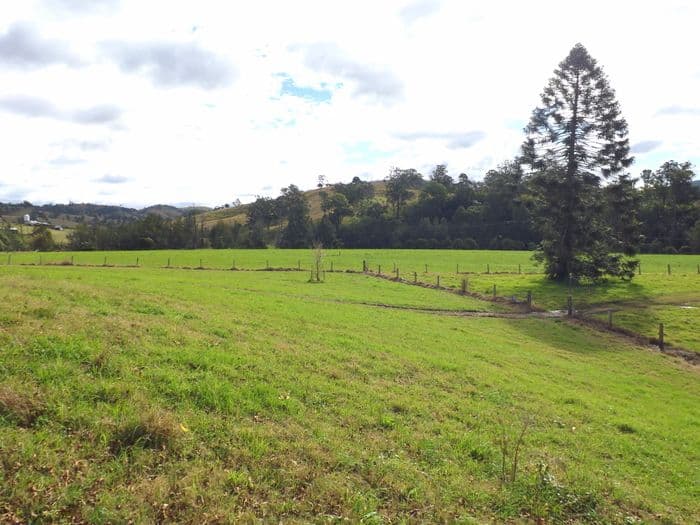 1870 Paterson River Road, LOSTOCK NSW 2311, Lostock - Thumbnail 6