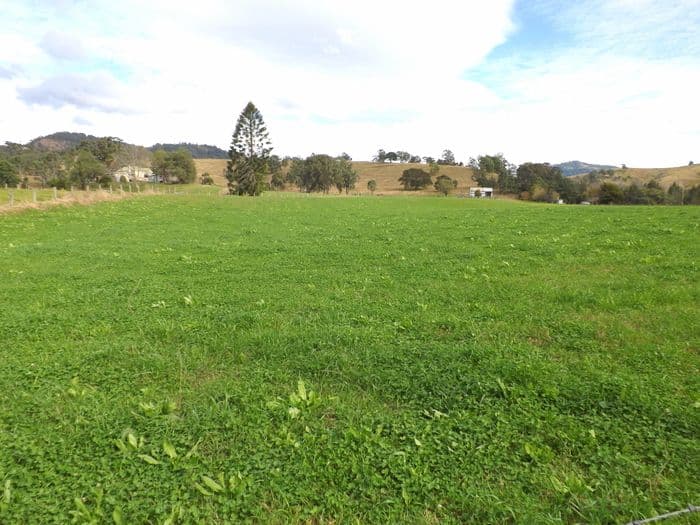 1870 Paterson River Road, LOSTOCK NSW 2311, Lostock - Thumbnail 8