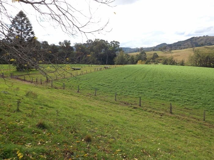 1870 Paterson River Road, LOSTOCK NSW 2311, Lostock - Thumbnail 5
