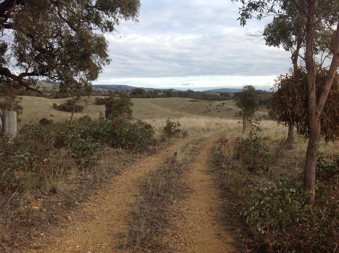 210 Hayes Gully Road, TOOBORAC VIC 3522, Tooborac - Thumbnail 6