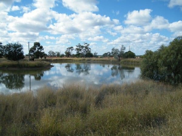 BLACKDOWN ROMA-CONDAMINE Road, CONDAMINE QLD 4416, Condamine - Thumbnail 7