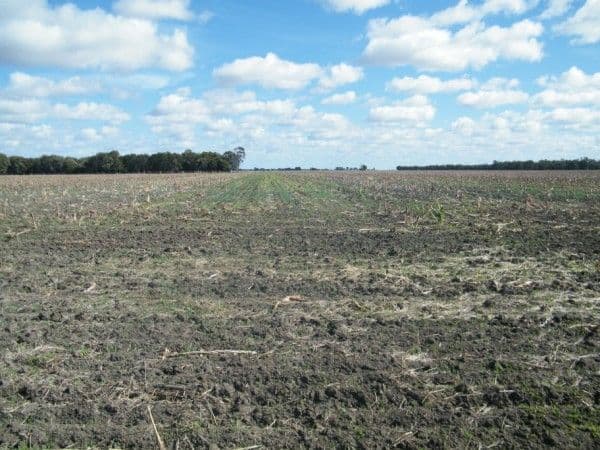 BLACKDOWN ROMA-CONDAMINE Road, CONDAMINE QLD 4416, Condamine - Thumbnail 2