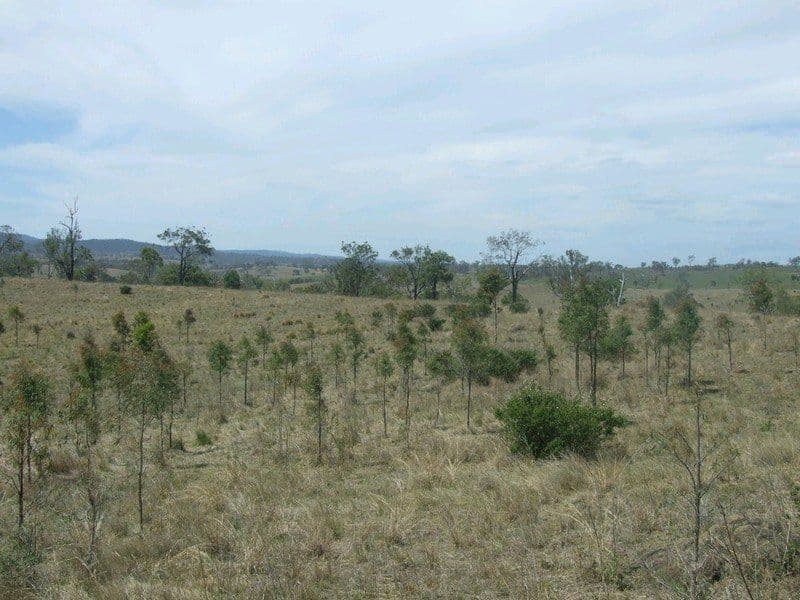 Lot 7 Pierce Creek Road, CROWS NEST QLD 4355, Crows Nest - Thumbnail 6