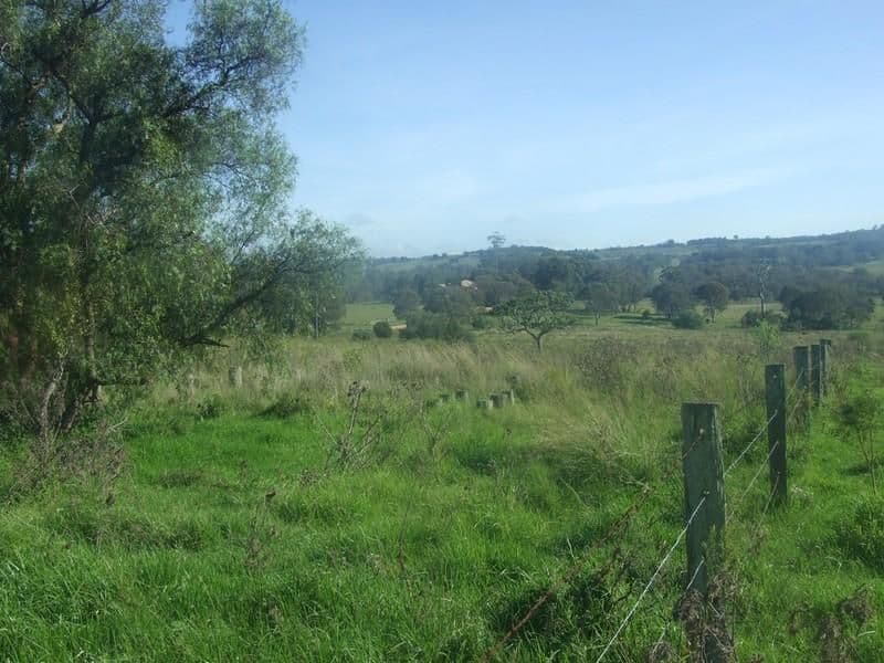 L197 Merritts Creek Road, HAMPTON QLD 4352, Hampton - Thumbnail 5