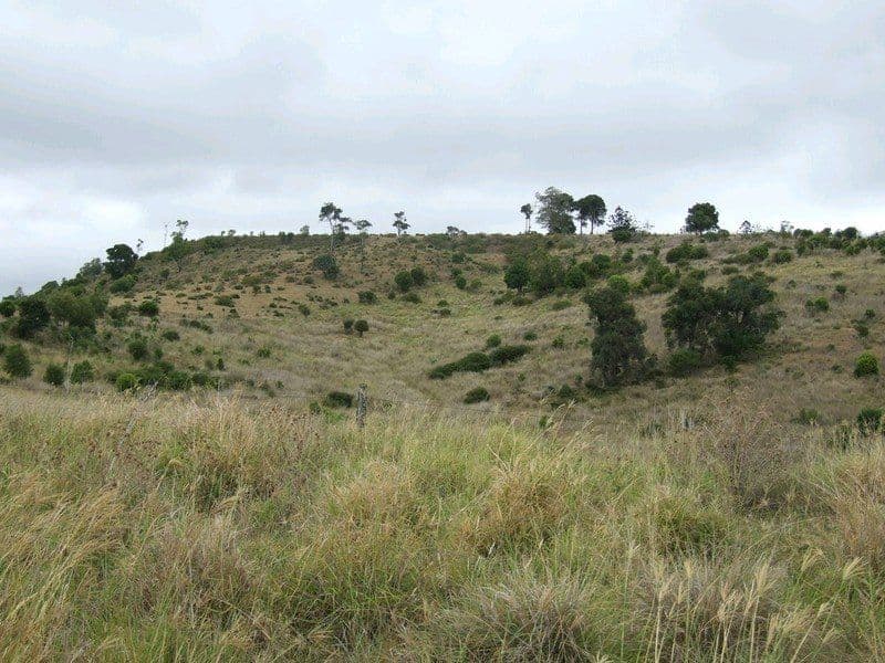 3580 New England Highway, CROWS NEST QLD 4355, Crows Nest - Thumbnail 3