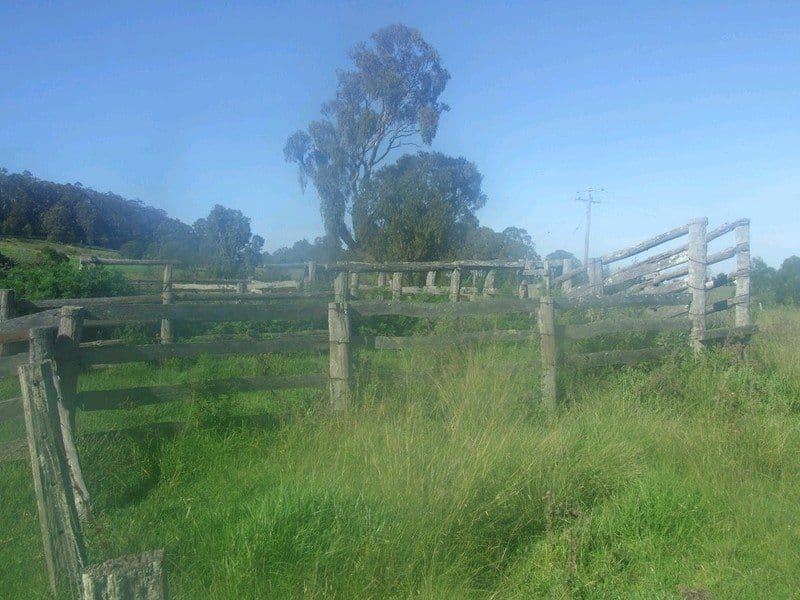 L197 Merritts Creek Road, HAMPTON QLD 4352, Hampton - Thumbnail 2