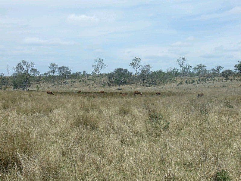 Lot 7 Pierce Creek Road, CROWS NEST QLD 4355, Crows Nest - Thumbnail 7