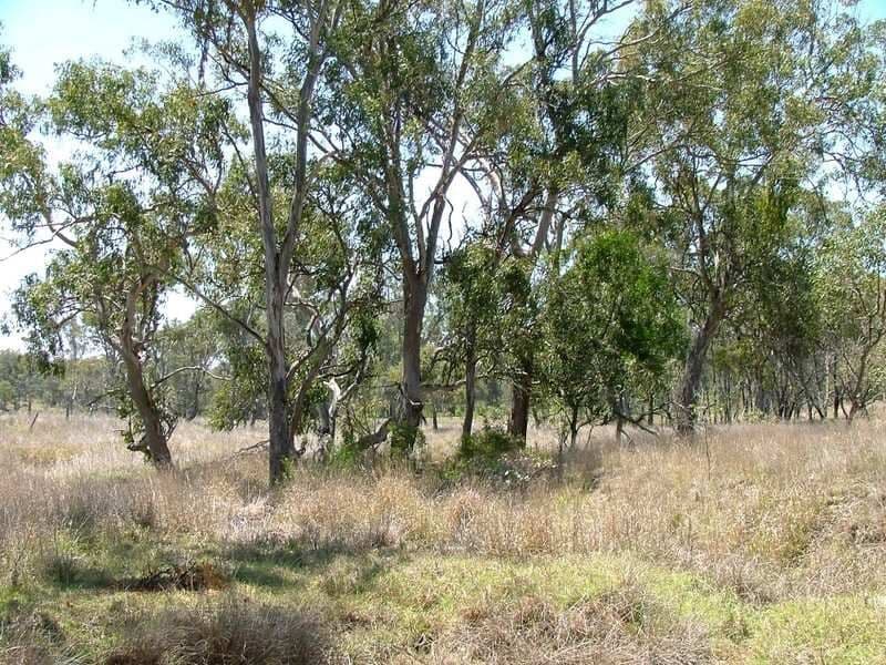 00 Perseverance Dam Road, CROWS NEST QLD 4355, Crows Nest - Thumbnail 5