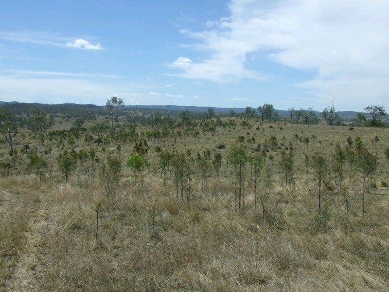 Lot 7 Pierce Creek Road, CROWS NEST QLD 4355, Crows Nest - Thumbnail 5