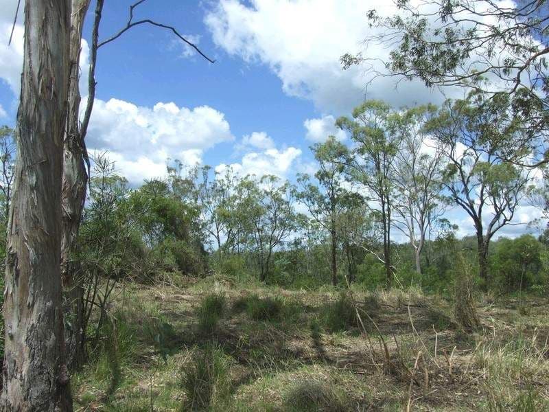 L292 Schick Road, THORNVILLE QLD 4352, Thornville - Thumbnail 5