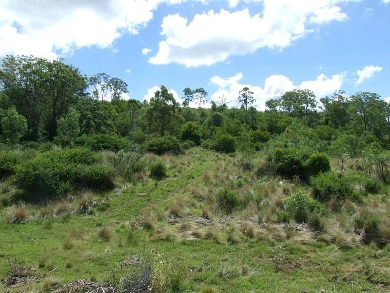 L292 Schick Road, THORNVILLE QLD 4352, Thornville - Thumbnail 8