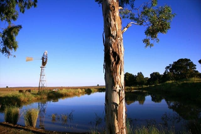 JANDOWAE QLD 4410, Jandowae - Thumbnail 2