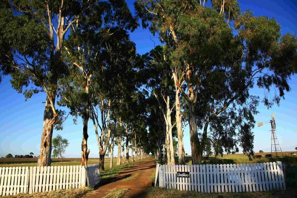 JANDOWAE QLD 4410, Jandowae - Image 1