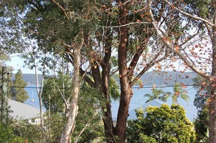 12 Edgewater Avenue, GREEN POINT NSW 2251, Green Point - Thumbnail 8