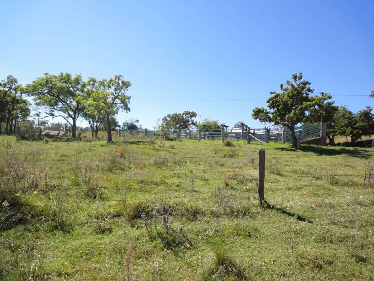 Lot 80 and 2 Kings Hill Road, KULPI QLD 4352, Kulpi - Thumbnail 7