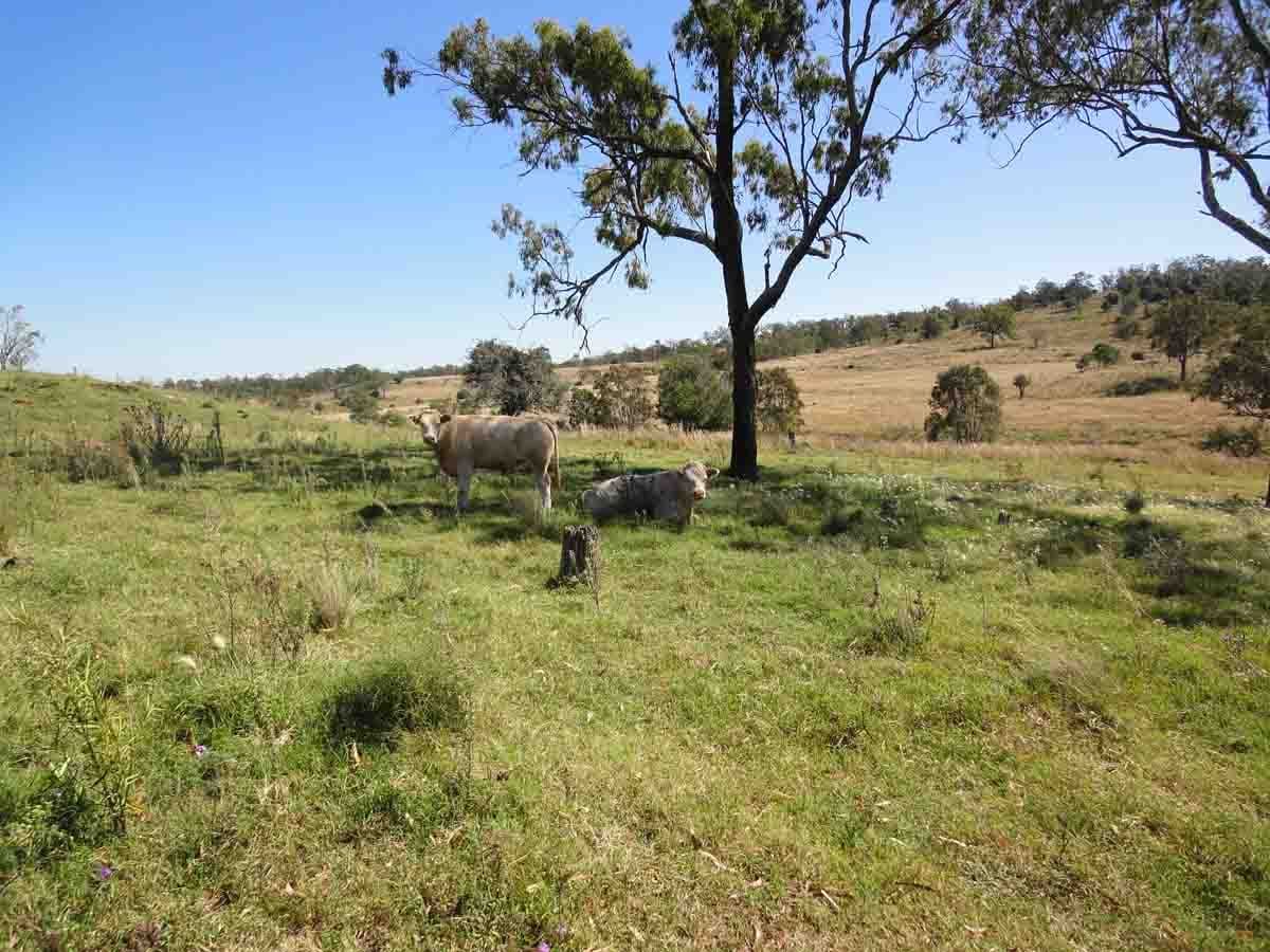 Lot 80 and 2 Kings Hill Road, KULPI QLD 4352, Kulpi - Image 1