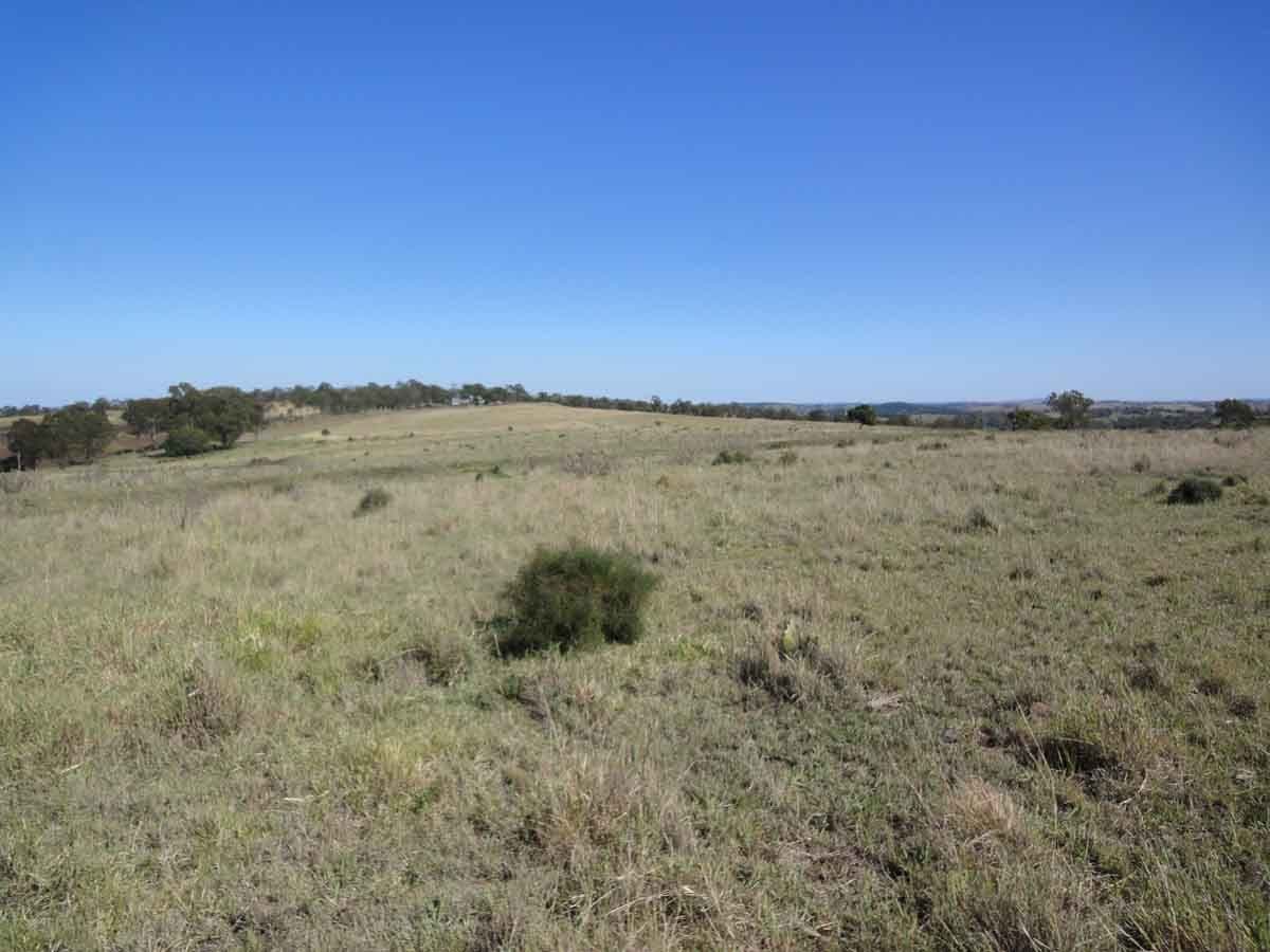 Lot 80 and 2 Kings Hill Road, KULPI QLD 4352, Kulpi - Thumbnail 4