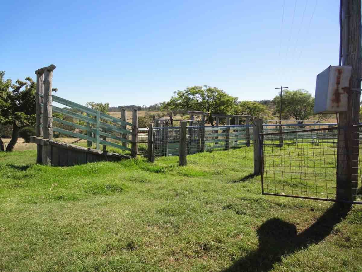 Lot 80 and 2 Kings Hill Road, KULPI QLD 4352, Kulpi - Thumbnail 8