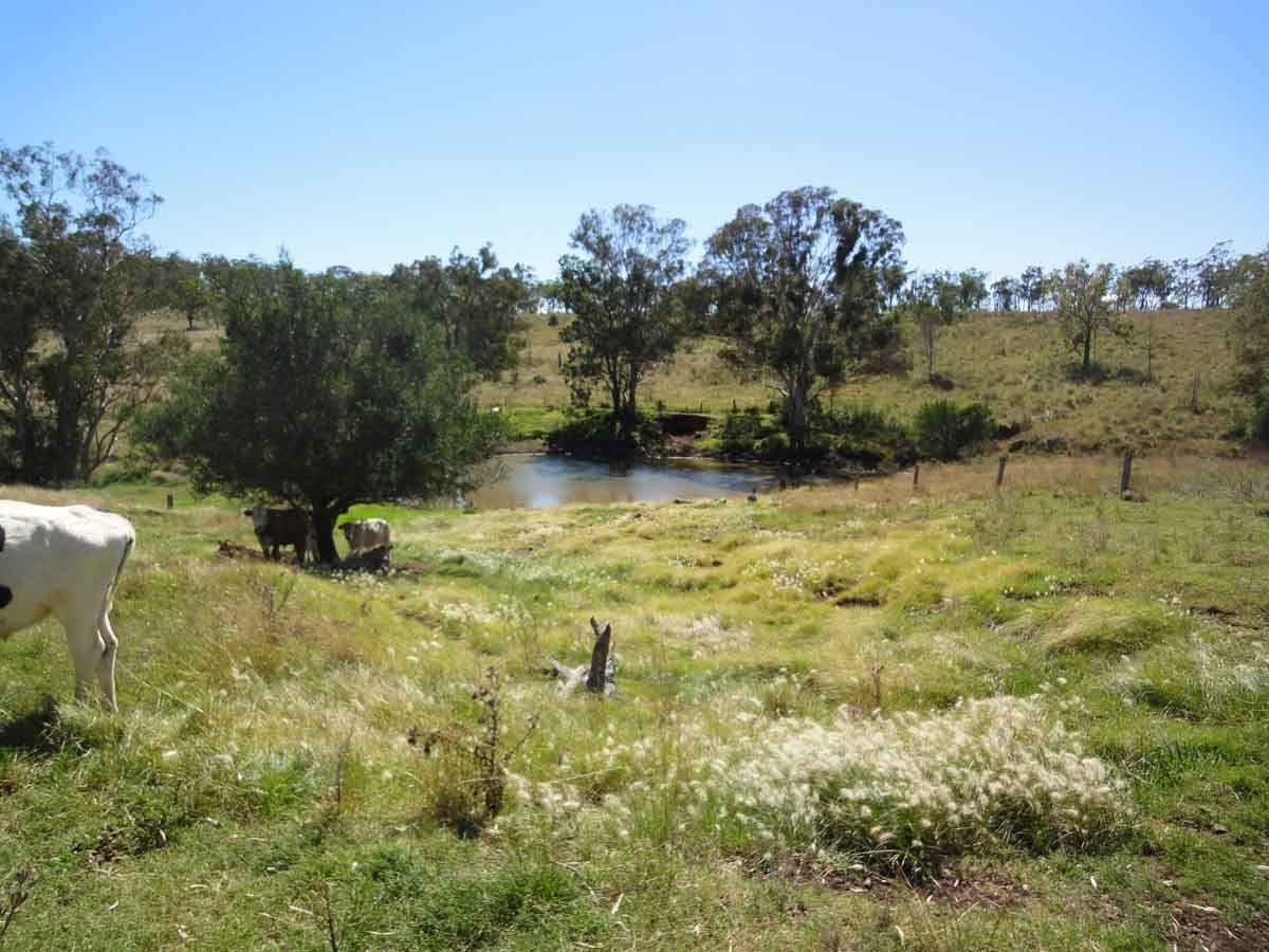 Lot 80 and 2 Kings Hill Road, KULPI QLD 4352, Kulpi - Thumbnail 2