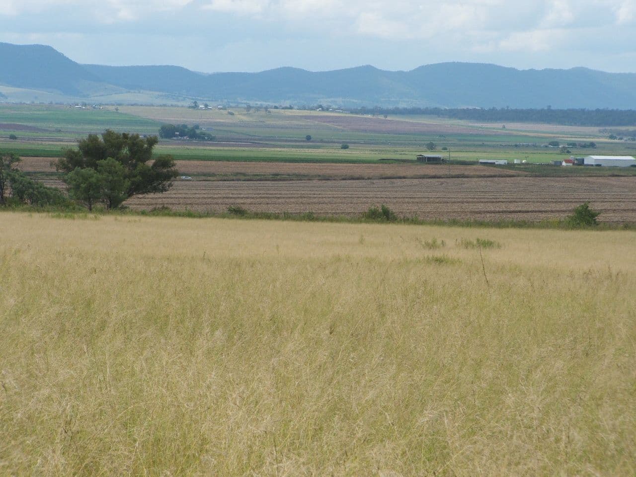 Lot 3 Orchard Road, Loch Lomond, WARWICK QLD 4370, Warwick - Thumbnail 3