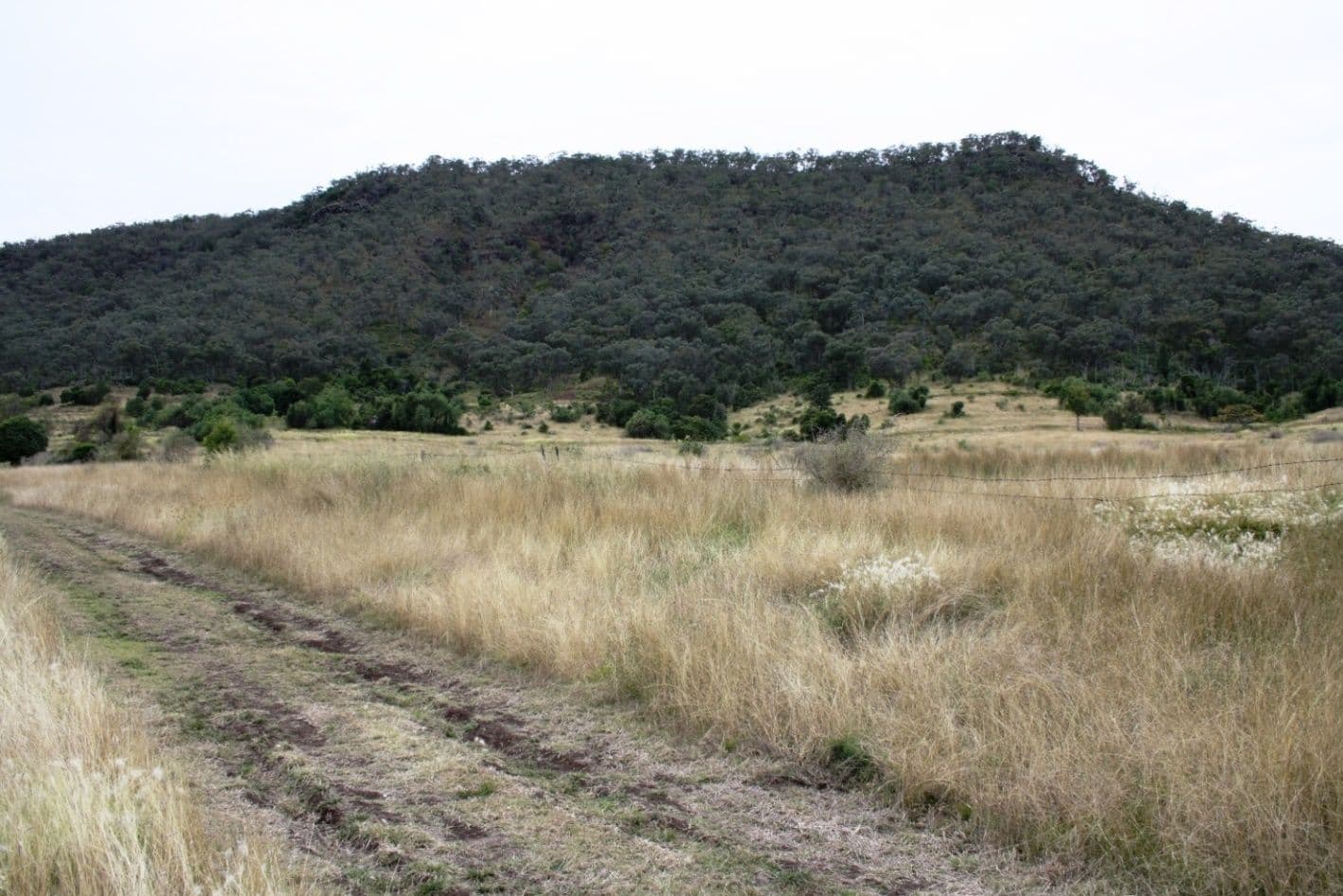 Lot 1715 Denmark Lane, SWANFELS QLD 4371, Swanfels - Thumbnail 7