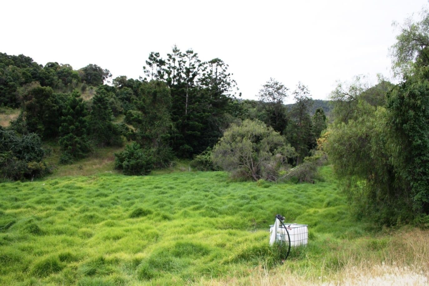 Lot 1715 Denmark Lane, SWANFELS QLD 4371, Swanfels - Thumbnail 2