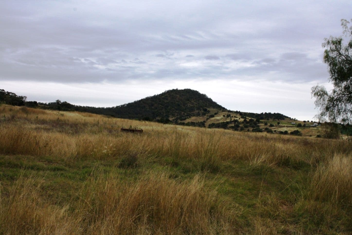 Lot 1715 Denmark Lane, SWANFELS QLD 4371, Swanfels - Thumbnail 5