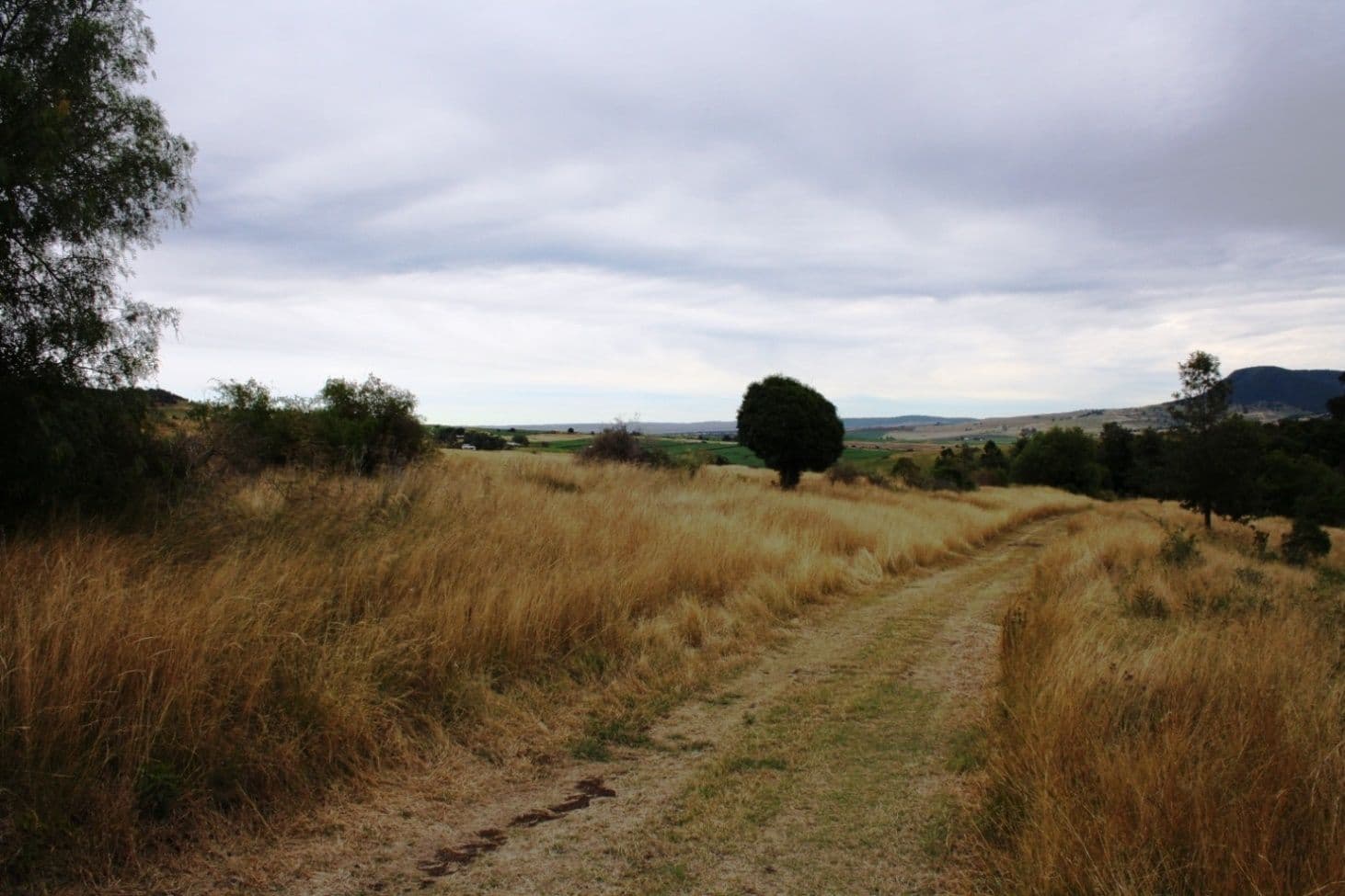 Lot 1715 Denmark Lane, SWANFELS QLD 4371, Swanfels - Thumbnail 8