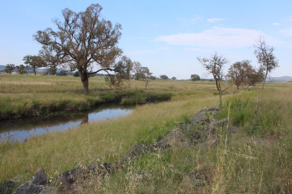 Lot 1 Schroders Road, TENTERFIELD NSW 2372, Tenterfield - Thumbnail 4