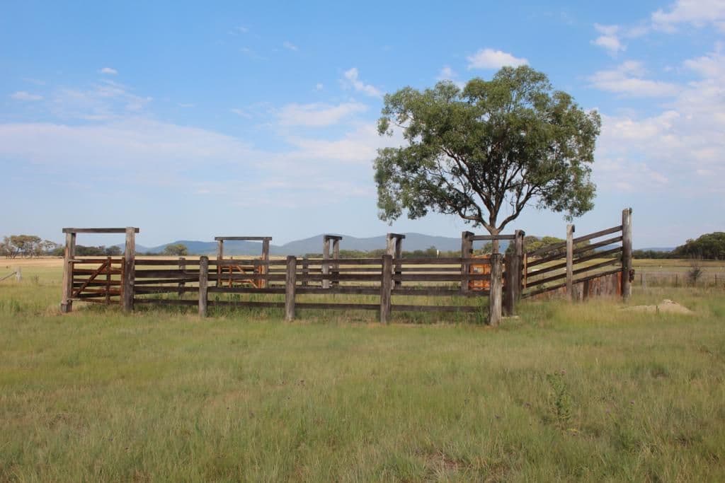 Lot 1 Schroders Road, TENTERFIELD NSW 2372, Tenterfield - Thumbnail 6