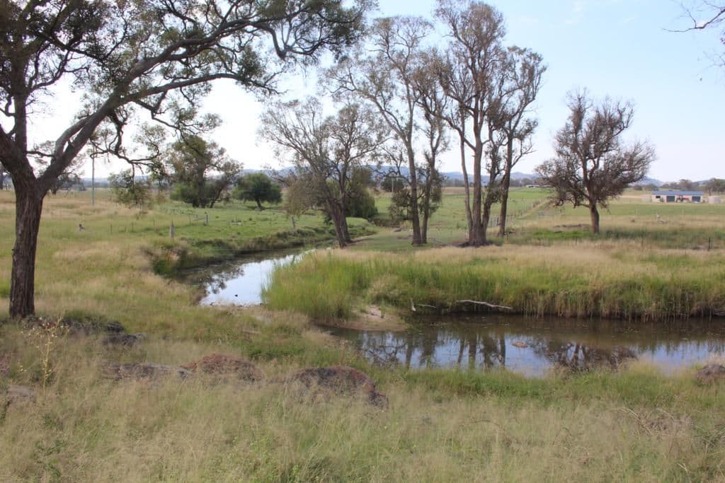 Lot 1 Schroders Road, TENTERFIELD NSW 2372, Tenterfield - Thumbnail 5