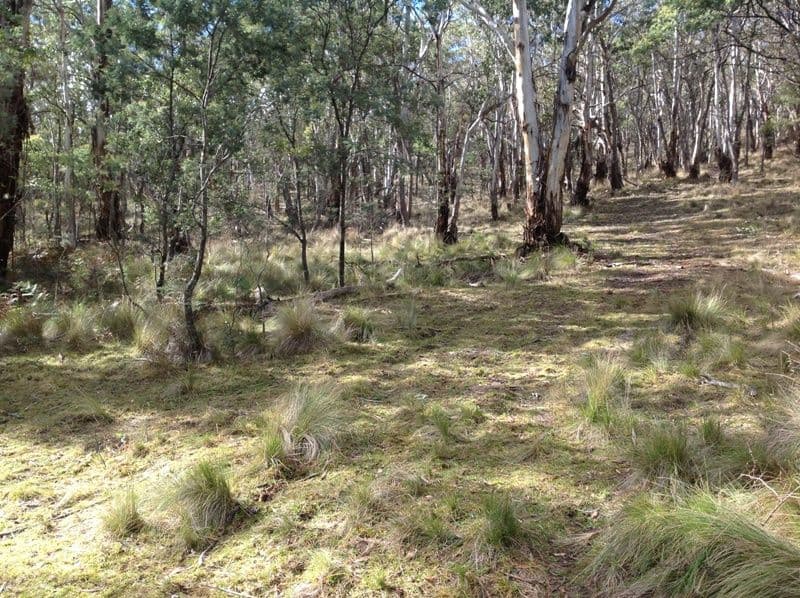 Lot 8 Dark Corner Road, BATHURST NSW 2795, Bathurst - Thumbnail 5