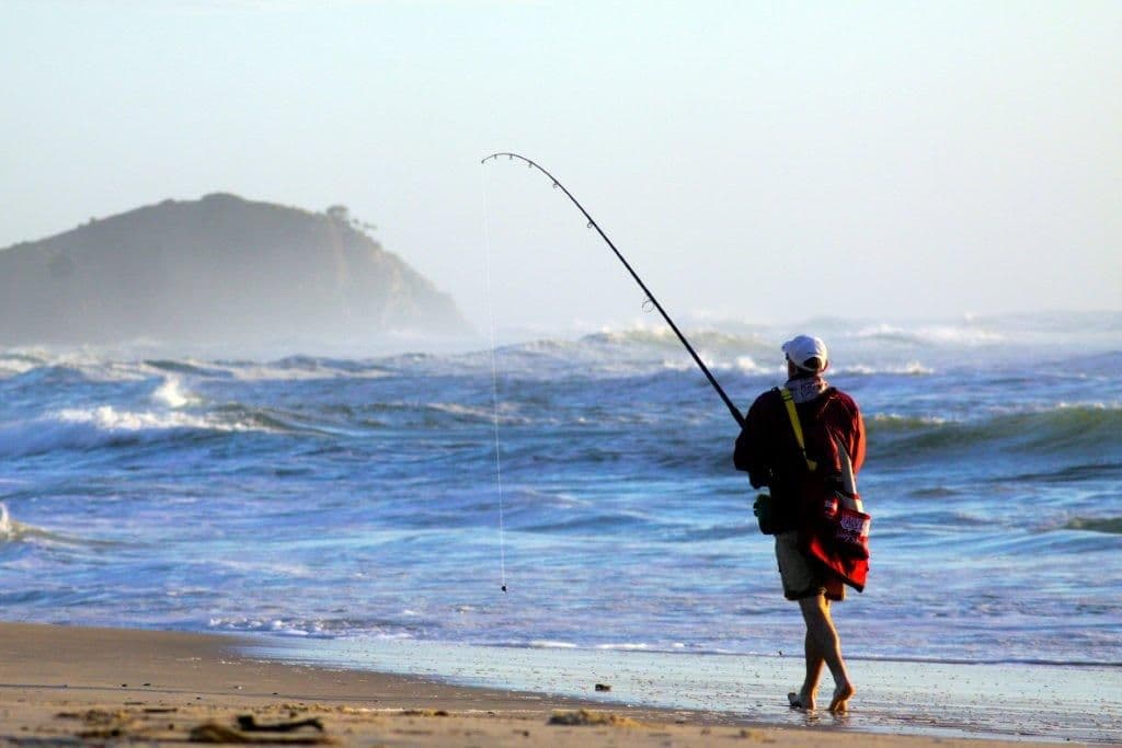 20 Tweed Coast Road, HASTINGS POINT NSW 2489, Hastings Point - Thumbnail 5