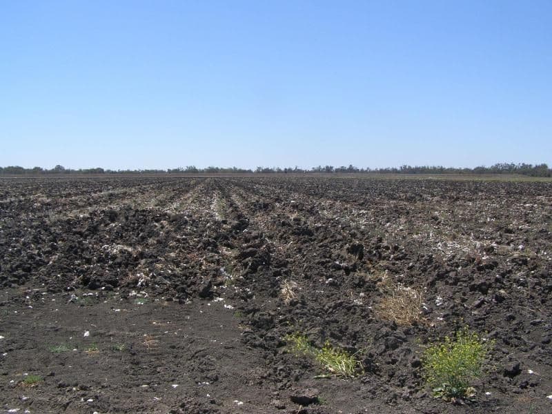 GOONDIWINDI QLD 4390, Goondiwindi - Thumbnail 3