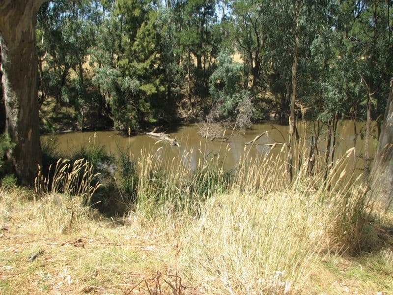 171E Cultowa Lane, CANOWINDRA NSW 2804, Canowindra - Thumbnail 8