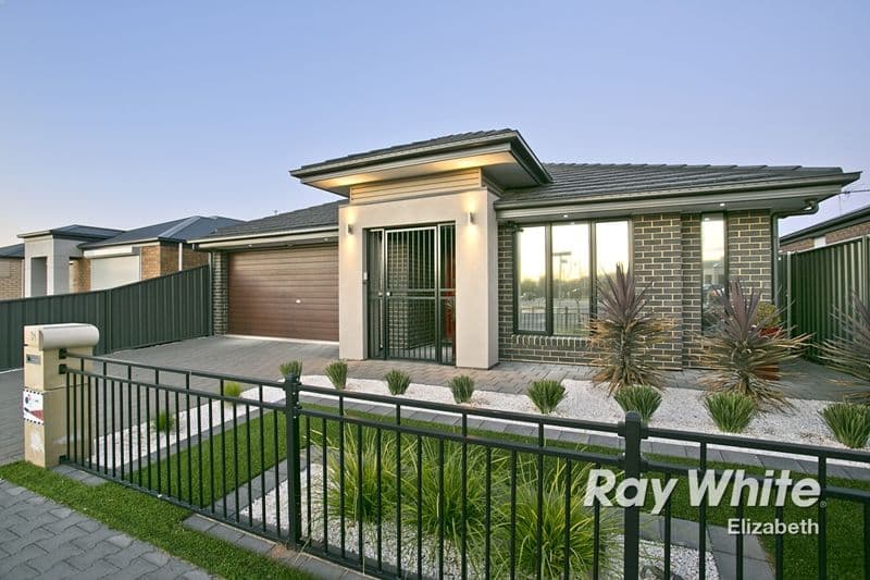 31 St Clair Avenue, ANDREWS FARM SA 5114, Andrews Farm - Image 1