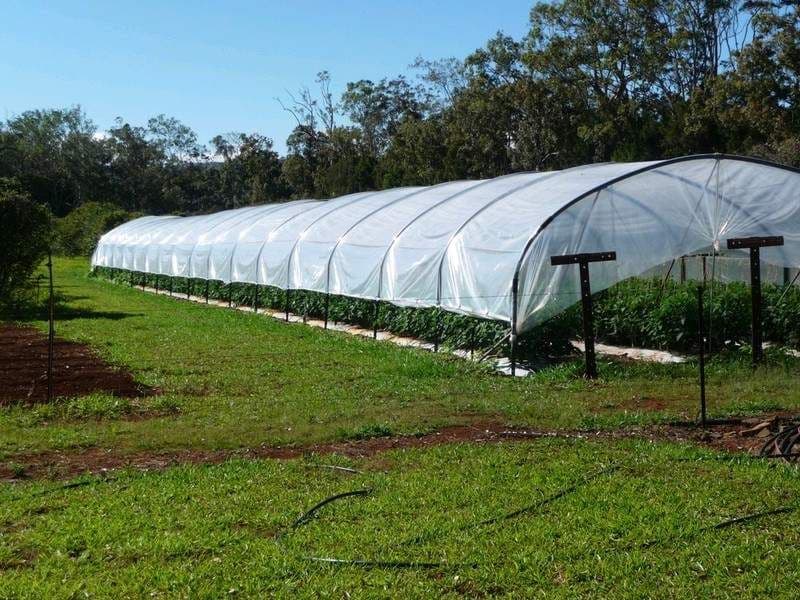 WONDECLA QLD 4887, Wondecla - Thumbnail 4