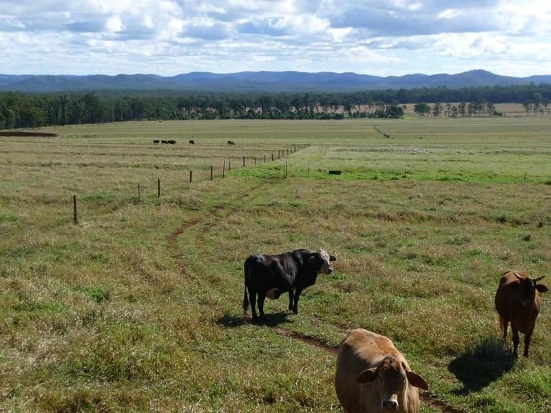 WONDECLA QLD 4887, Wondecla - Thumbnail 3