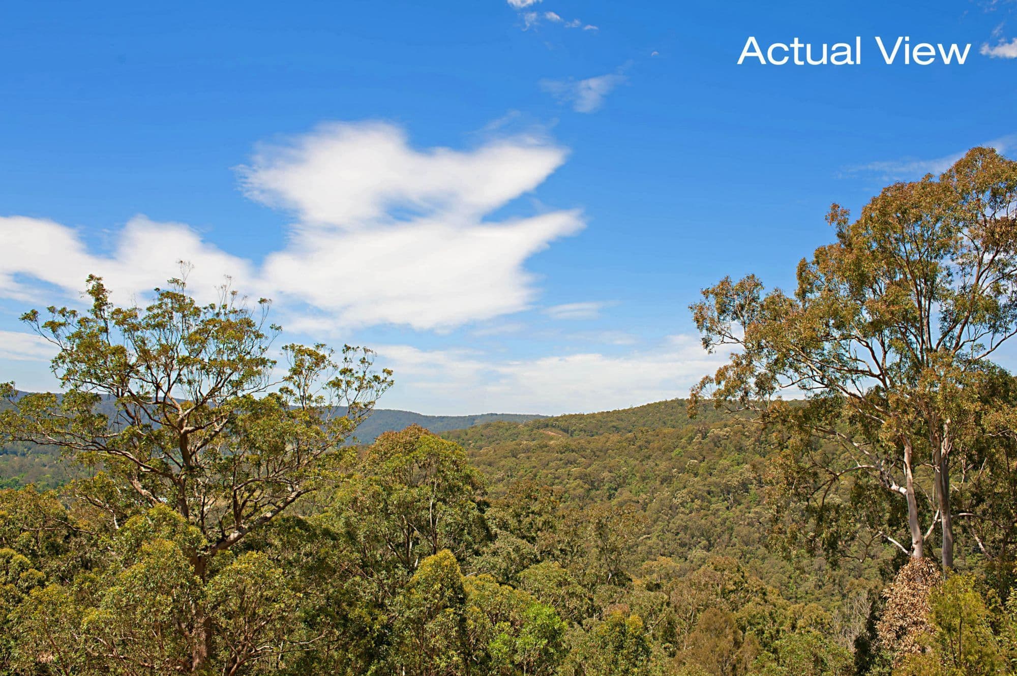 134 Bumble Hill Road, YARRAMALONG NSW 2259, Yarramalong - Image 1