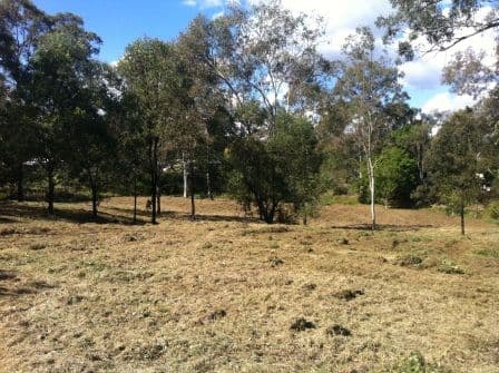 153 Pine Mountain Road, BRASSALL QLD 4305, Brassall - Thumbnail 4