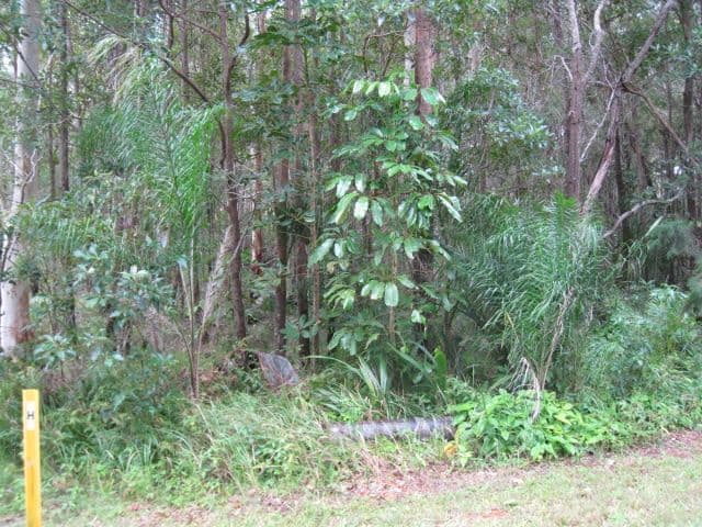 71 Shore Street, RUSSELL ISLAND QLD 4184, Russell Island - Thumbnail 2