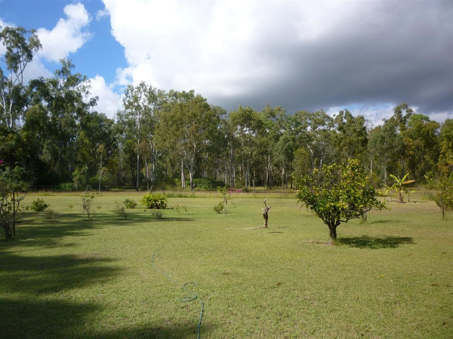 49 Gum Tree Avenue, BOULDERCOMBE QLD 4702, Bouldercombe - Thumbnail 4