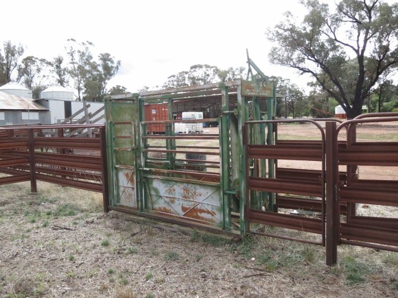 969 "Liddersdale" Thanowring Road, TEMORA NSW 2666, Temora - Thumbnail 4