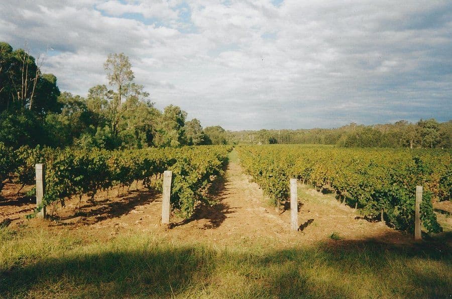 68 Hermitage Road, BELFORD NSW 2335, Belford - Thumbnail 7
