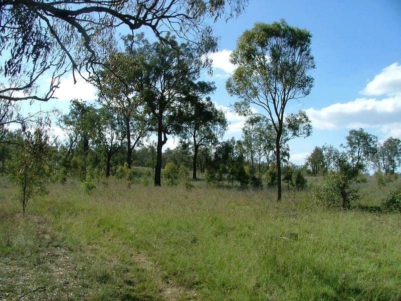 L307 Emu Creek Road, CROWS NEST QLD 4355, Crows Nest - Thumbnail 3