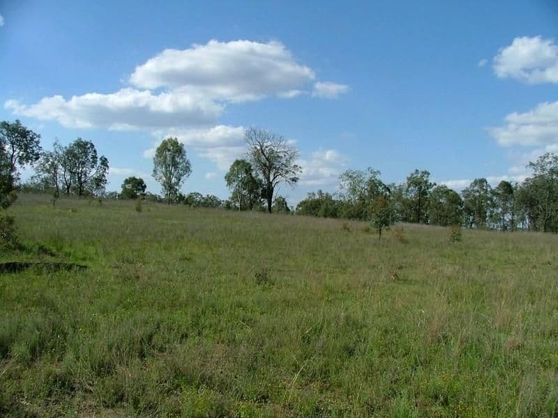 L307 Emu Creek Road, CROWS NEST QLD 4355, Crows Nest - Thumbnail 6