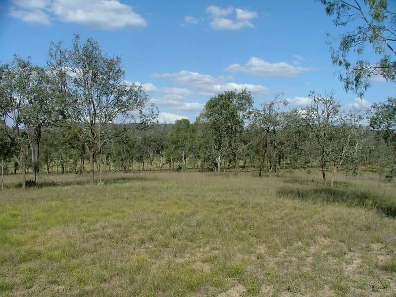 L307 Emu Creek Road, CROWS NEST QLD 4355, Crows Nest - Thumbnail 7