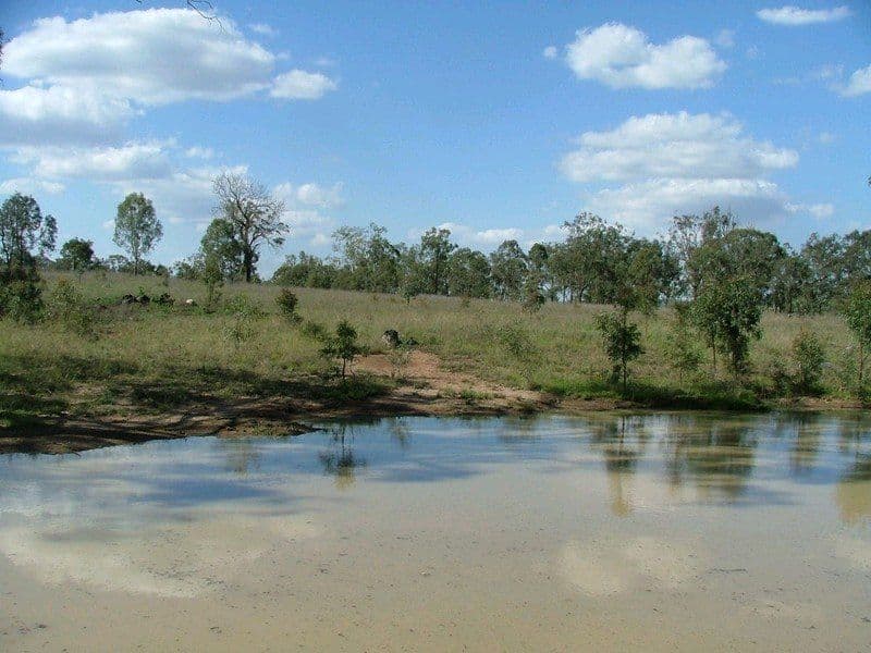 L307 Emu Creek Road, CROWS NEST QLD 4355, Crows Nest - Thumbnail 5