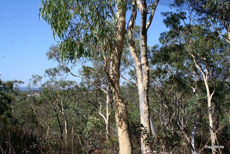 3 Bombay Road, BRAIDWOOD NSW 2622, Braidwood - Thumbnail 8