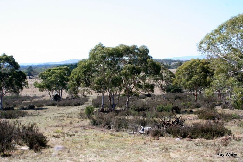 3 Bombay Road, BRAIDWOOD NSW 2622, Braidwood - Thumbnail 6
